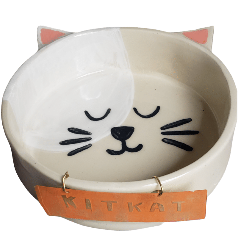 Pet Bowls (1)