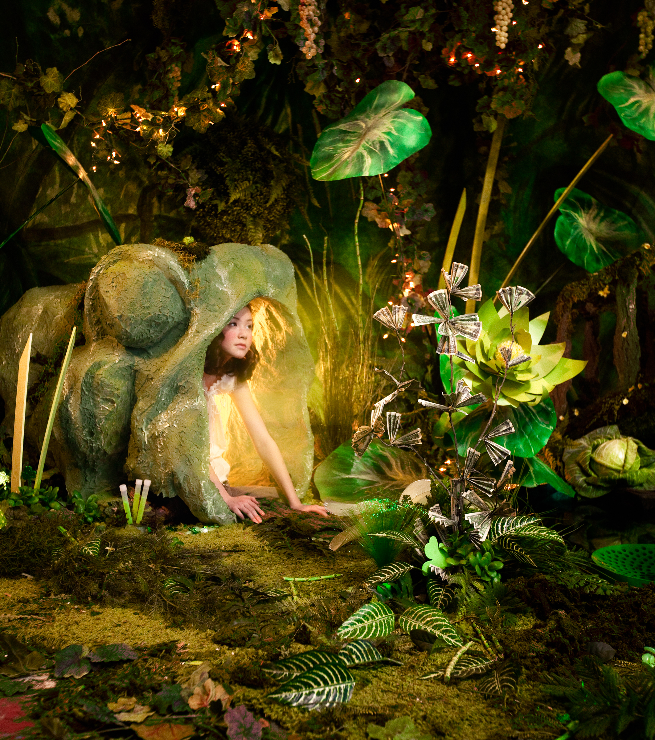 Adrien Broom Greenii Adrien Broom Greenii