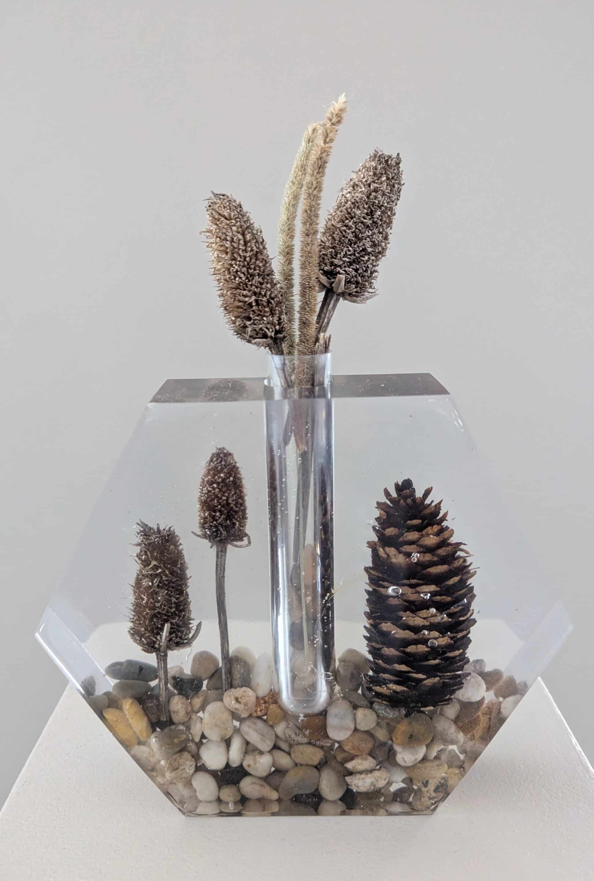 Pxl 20260104 185139796 (1)